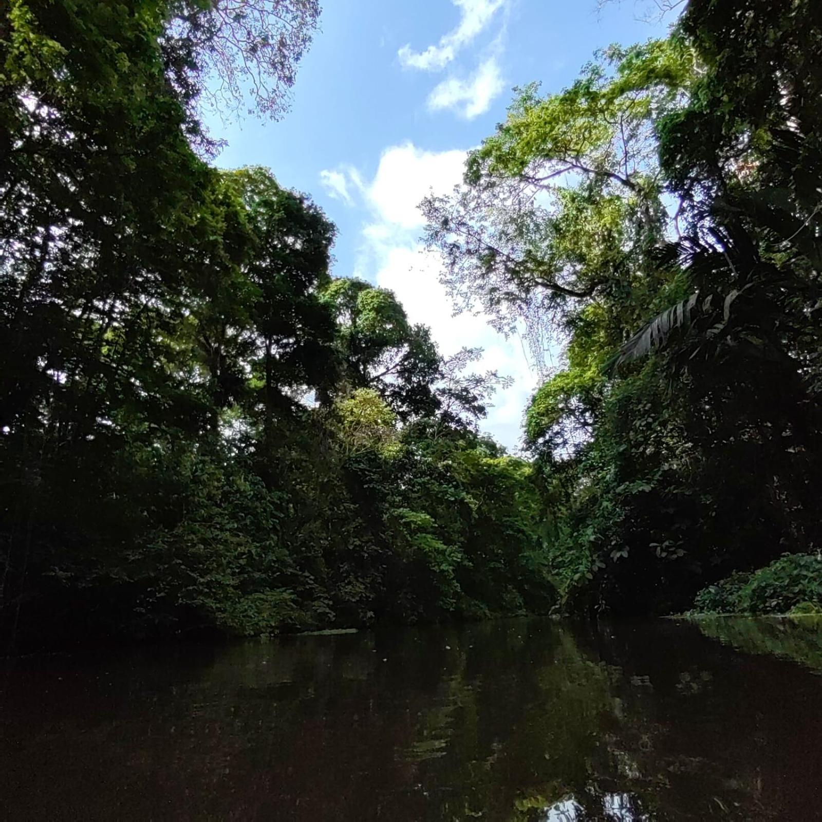 Tortuguero Villas Buitenkant foto